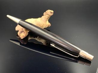 Berlin mit Mooreiche 